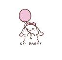 S.Y Party Deco