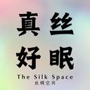 The Silk Space 