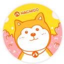 Hachigo Japanese Cheesecake | Up to 50% OFF DEALS! (MISS)